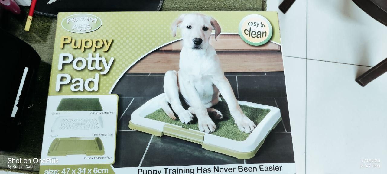 Puppy Potty Pad
